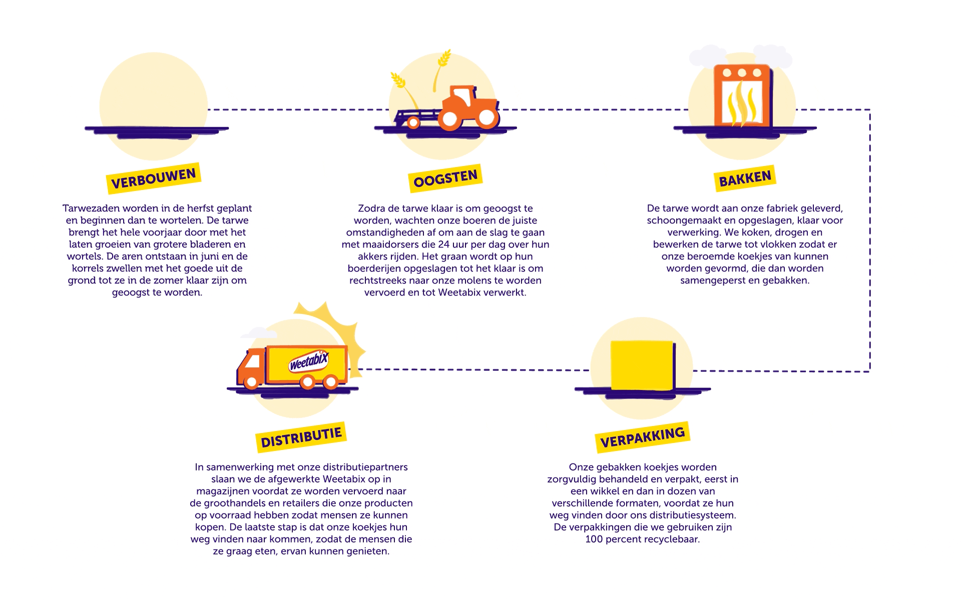 Weetabix farmers infographic desktop